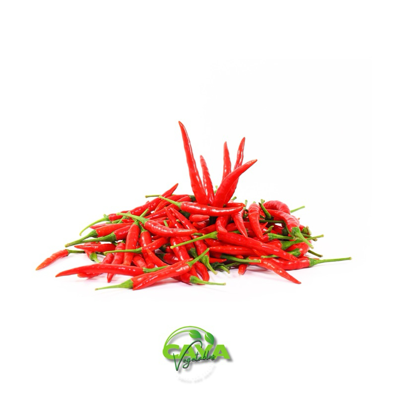

KIRIM INSTAN Cabai Merah Keriting Segar 500g – Pedas Alami untuk Masakan Lezat
