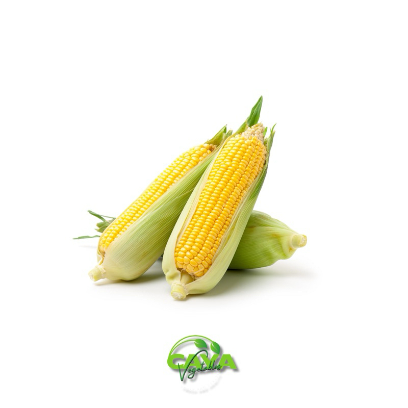 

KIRIM INSTAN Jagung Manis Segar 1kg - Nikmati Manisnya, Kaya Gizi, dan Segar Alami