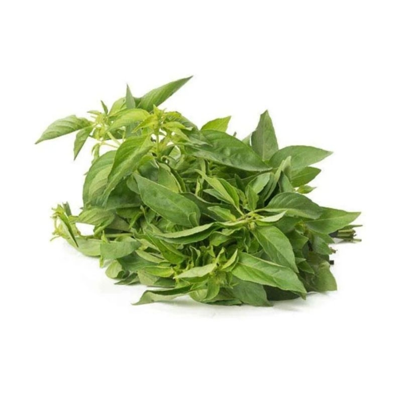 

Daun Kemangi