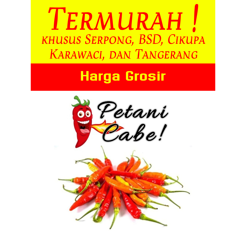 

Cabe / Cabai Merah Rawit Ori Super 1 kg - Harga Grosir (Petani Cabe Serpong)