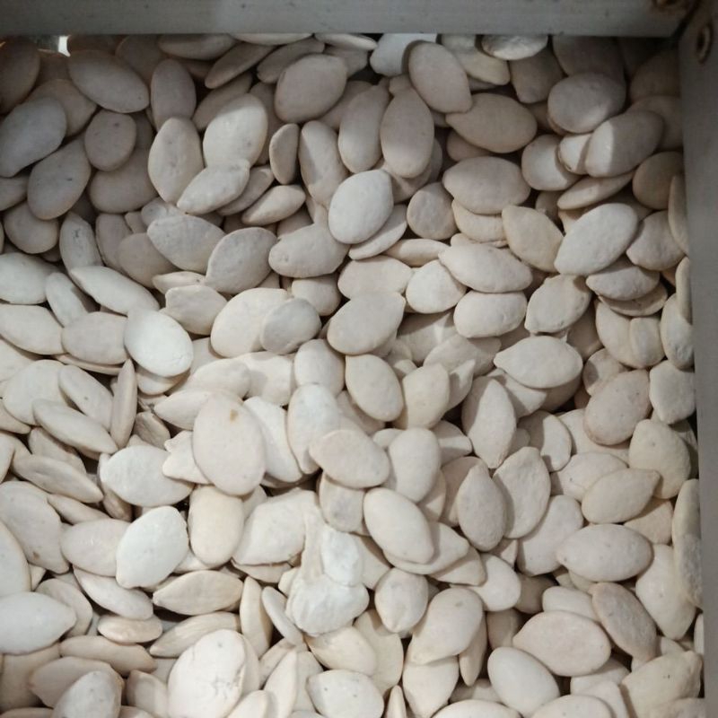 

kwaci putih curah kwalitas premium surya indah jombang 100gr
