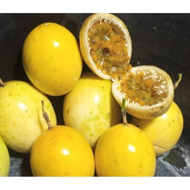 

Buah Markisa Segar 1 kg - Markisa Kuning Matang
