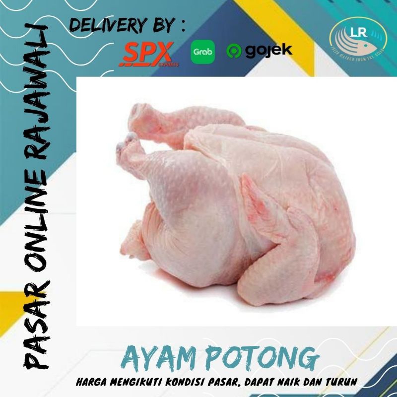 

Ayam potong