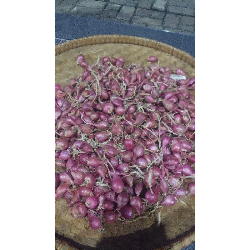 

bawang merah brebes kupas besar 1kg