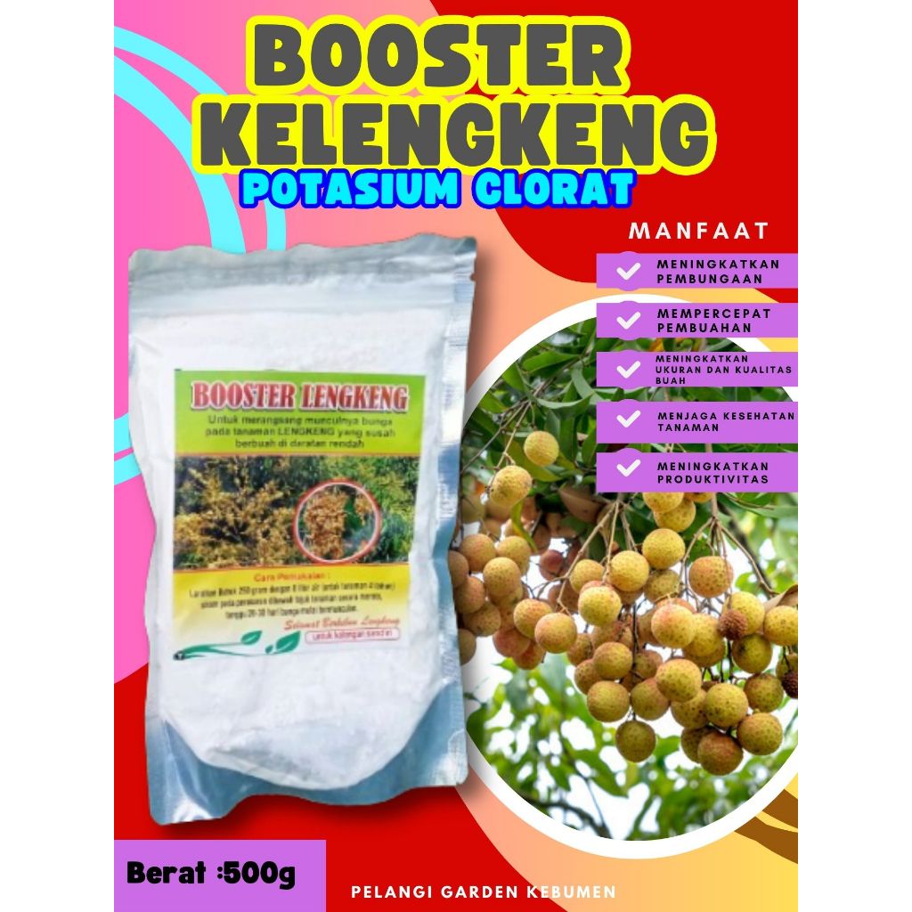 TERBAIK  Boster Kelengkeng Merah Cangkok Berbuah, Boster Kelengkeng Matalada, Boster Kelengkeng Mera