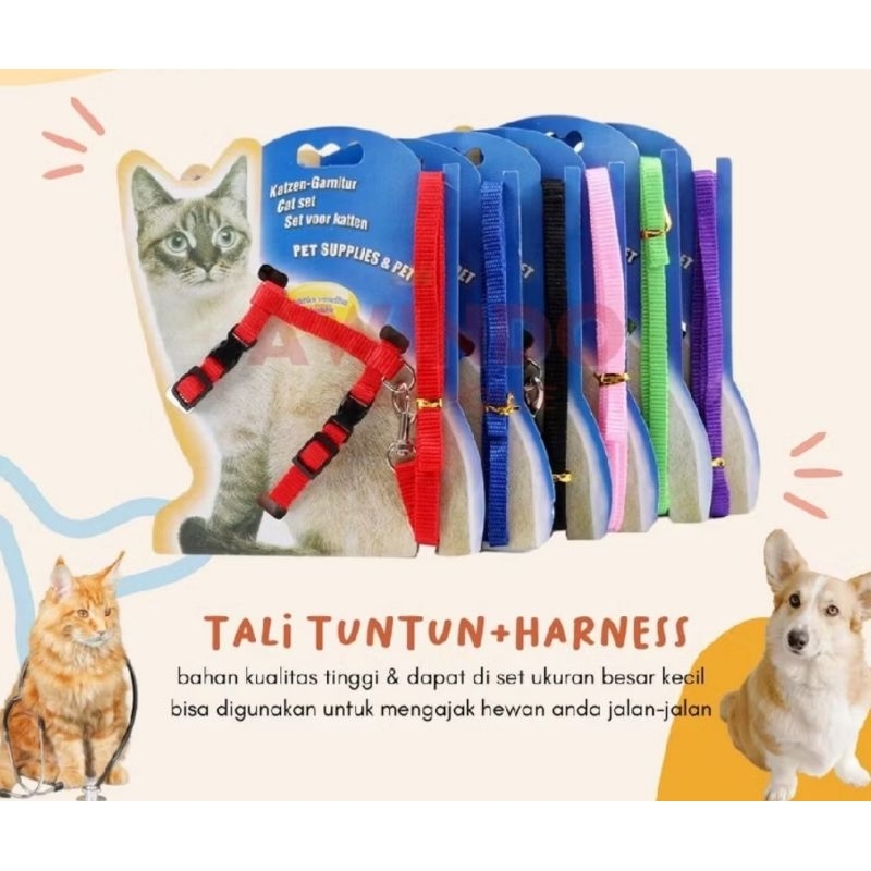 TALI TUNTUN KUCING || HARNESS KUCING ANJING MUSANG KELINCI