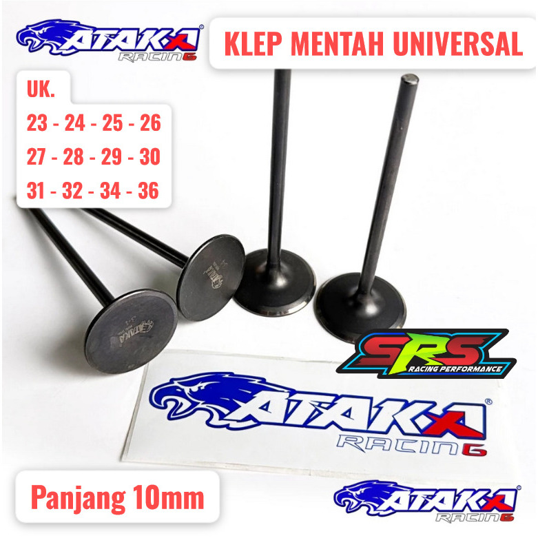 ATAKA KLEP CARBON BATANG 5mm MENTAH PANJANG 10mm KLEP CARBON
