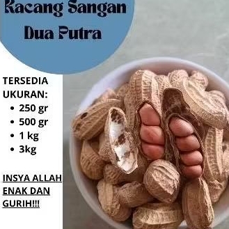 

Kacang Sangan/Kacang Bakar