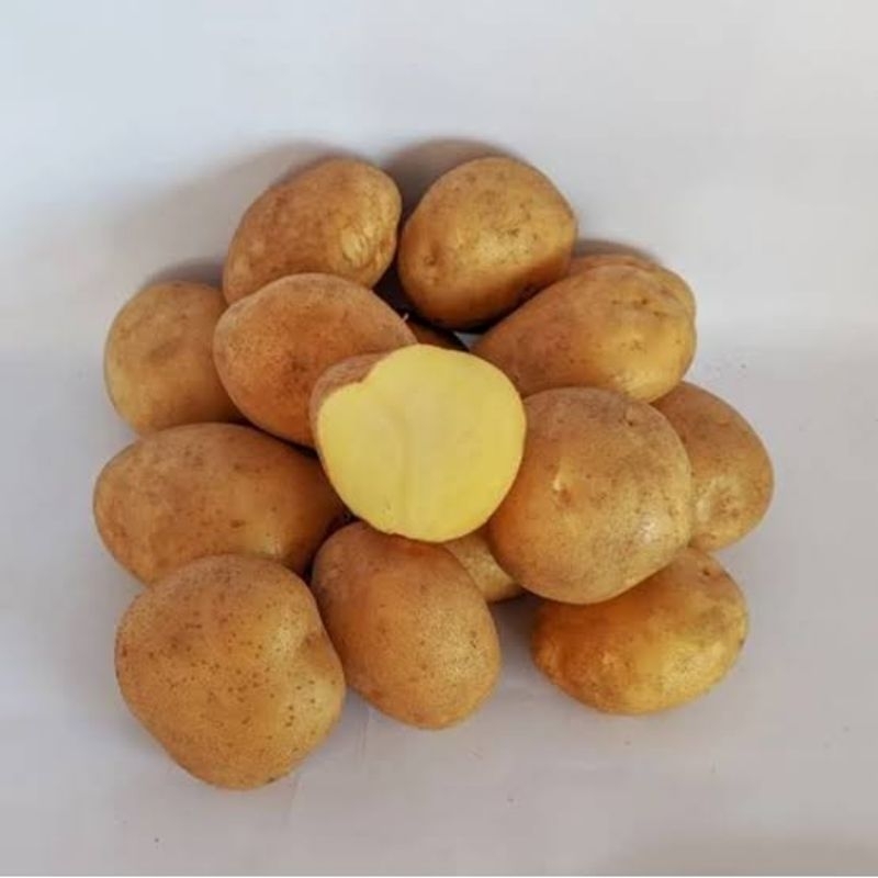 

KENTANG DIENG ORIGINAL per 1000 Gr