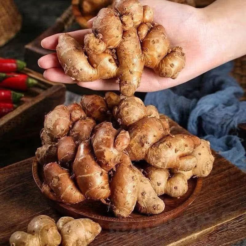 

kencur tua berat 500g