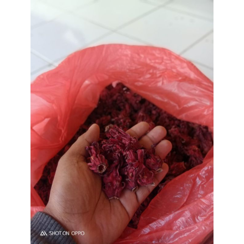 

TEH ROSELLA MERAH KERING KEMASAN 250GRAM GRADE A PANENA BARU 2025