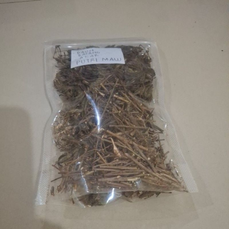 

DAUN PUTRI MALU KERING 100 GRAM