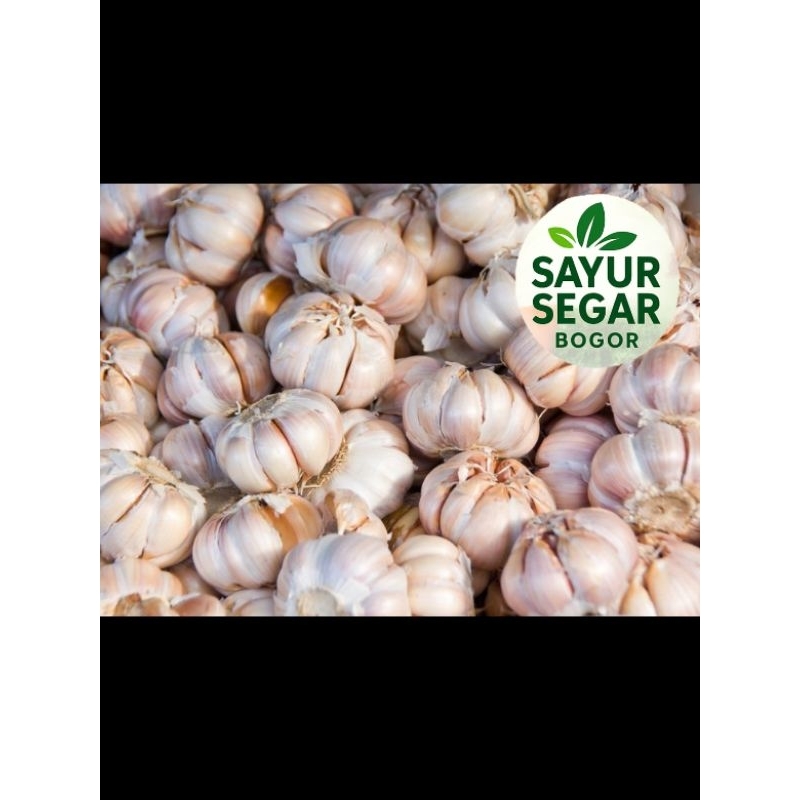 

Bawang Putih Regular 500 gr