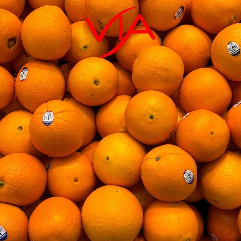 

1 Kg Sunkist Navel