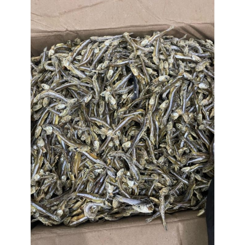 

IKAN TERI TAWAR PREMIUM 10 KG