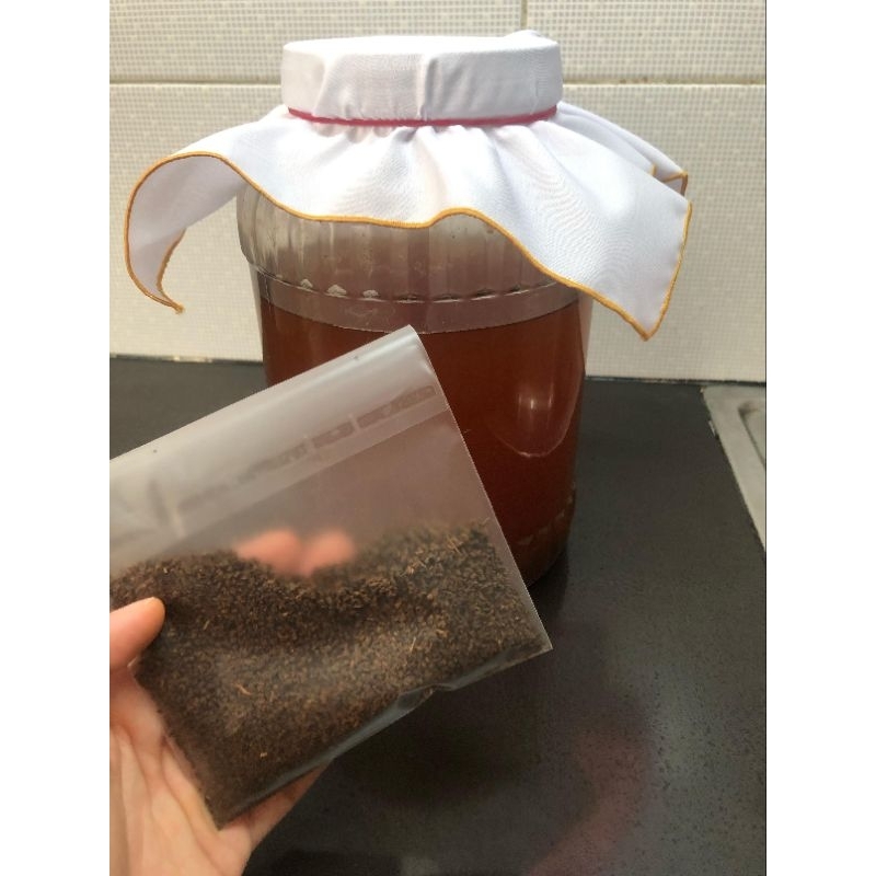 

TEH HITAM DAN TEH WANGI untuk KOMBUCHA ORGANIC