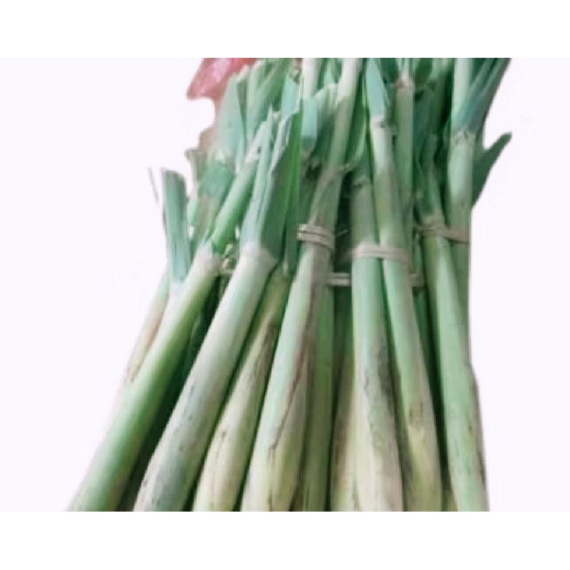 

Turubus telor sayur turubuss 1kg