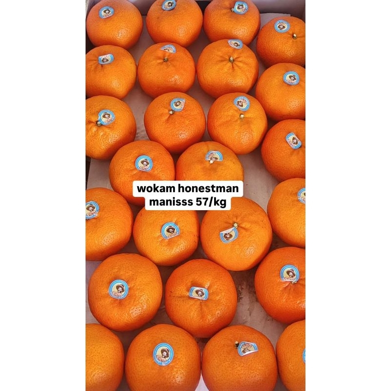 

Wokam honestman maniss