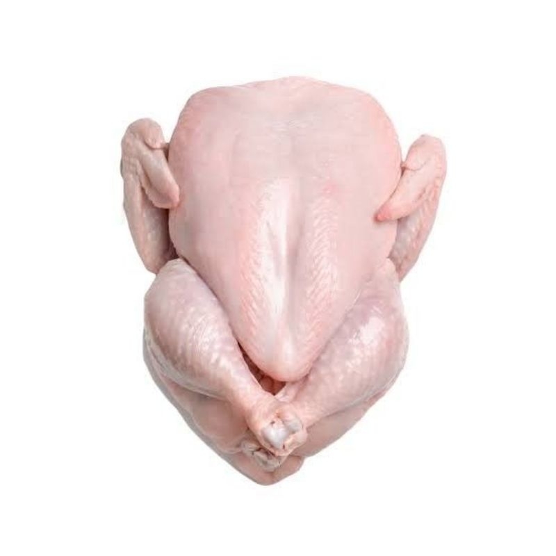 

Ayam potong/broiler 1 ekor Fresh Abang Sayur Lampung