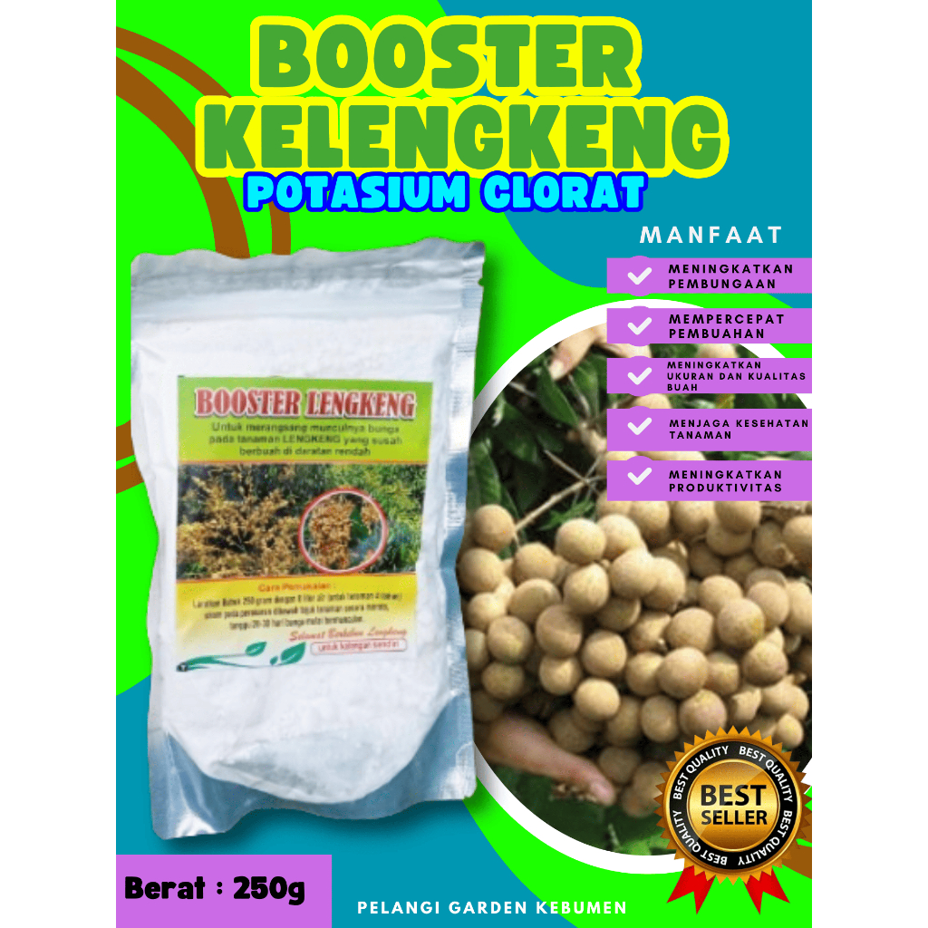 BEST SELLER  Booster Kelengkeng Kclo 3 Murni, Booster Kelengkeng Kclo 3, Booster Kelengkeng Kclo