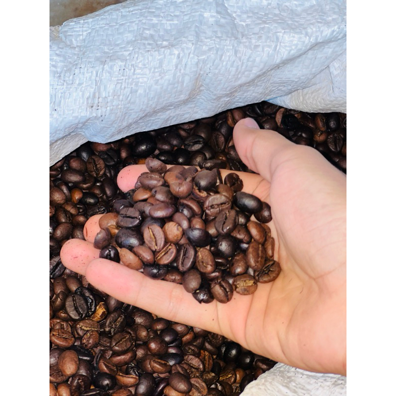 

biji kopi robusta lokal sudah panggang per gram