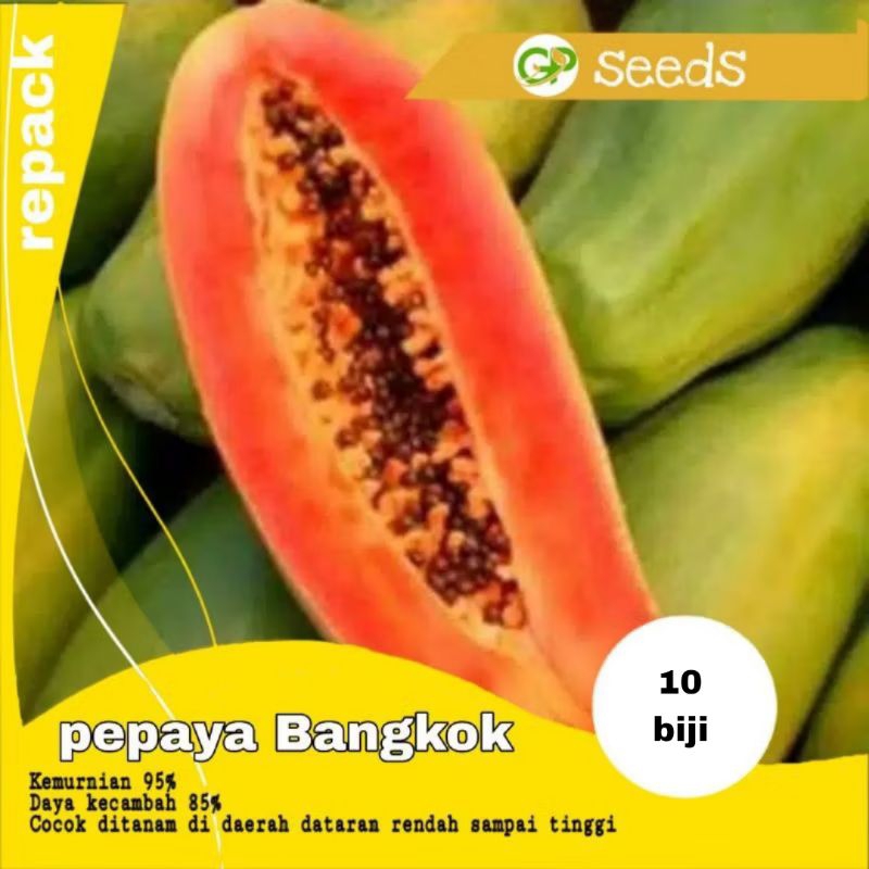 Benih pepaya Bangkok | benih buah | bibit buah | benih tanaman