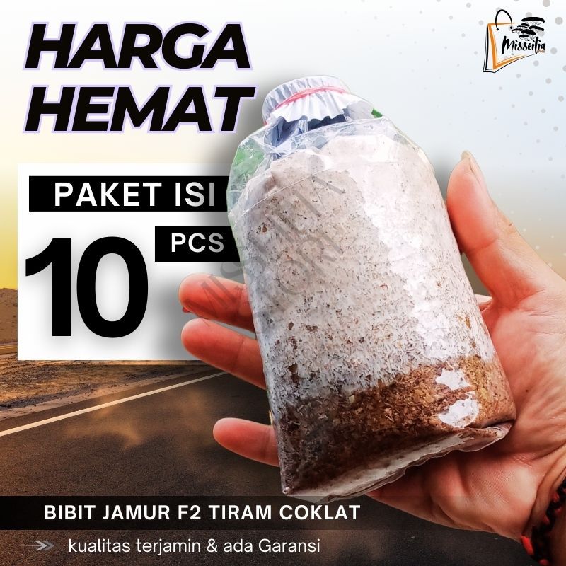 

Bibit Jamur F2 Tiram Coklat Paket Hemat Isi 10pcs Benih Unggul Murah Siap Tanam Kemasan Plastik