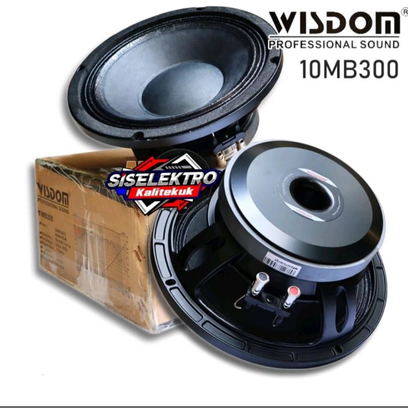 speaker 10 inch speaker wisdom 10mb300 component speaker wisdom