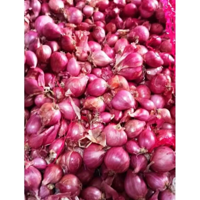 

Bawang Merah Super 1 Kg