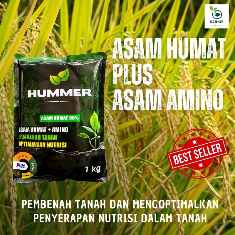 Asam Humat plus Asam Amino Untuk Tanaman Padi 1 kg