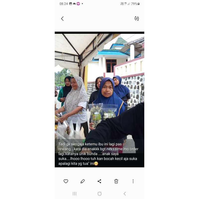 

kripik daun sembukan