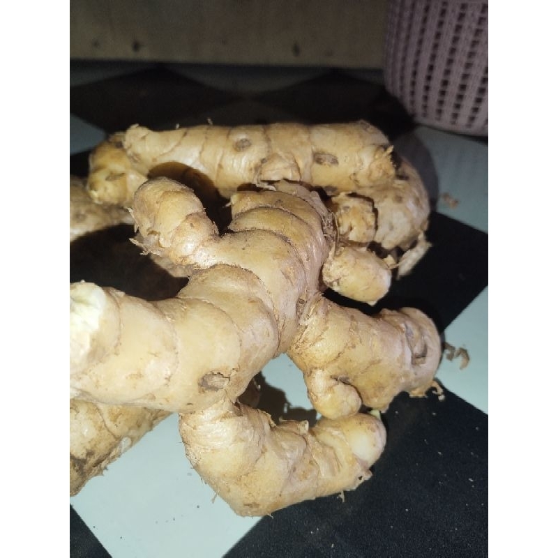 

Kunyit Putih Segar 1 kg . Asli Herbal Curcuma Zedoria Jamu Kunyit Asam Minuman Herbal Obat
