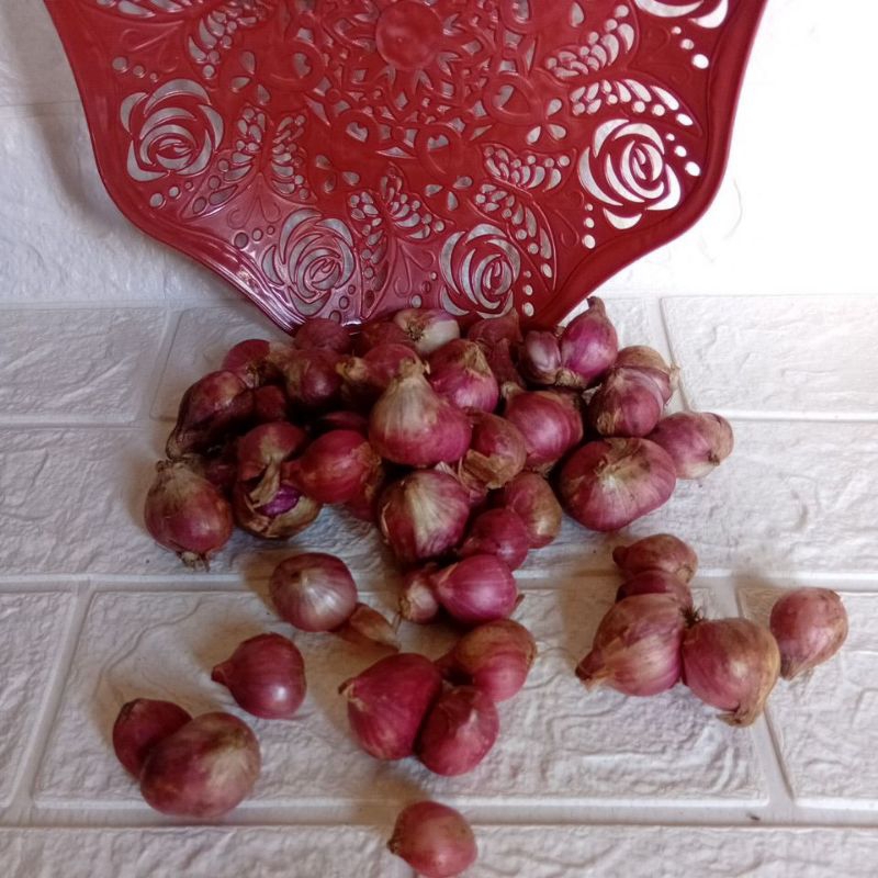 

Bawang Merah