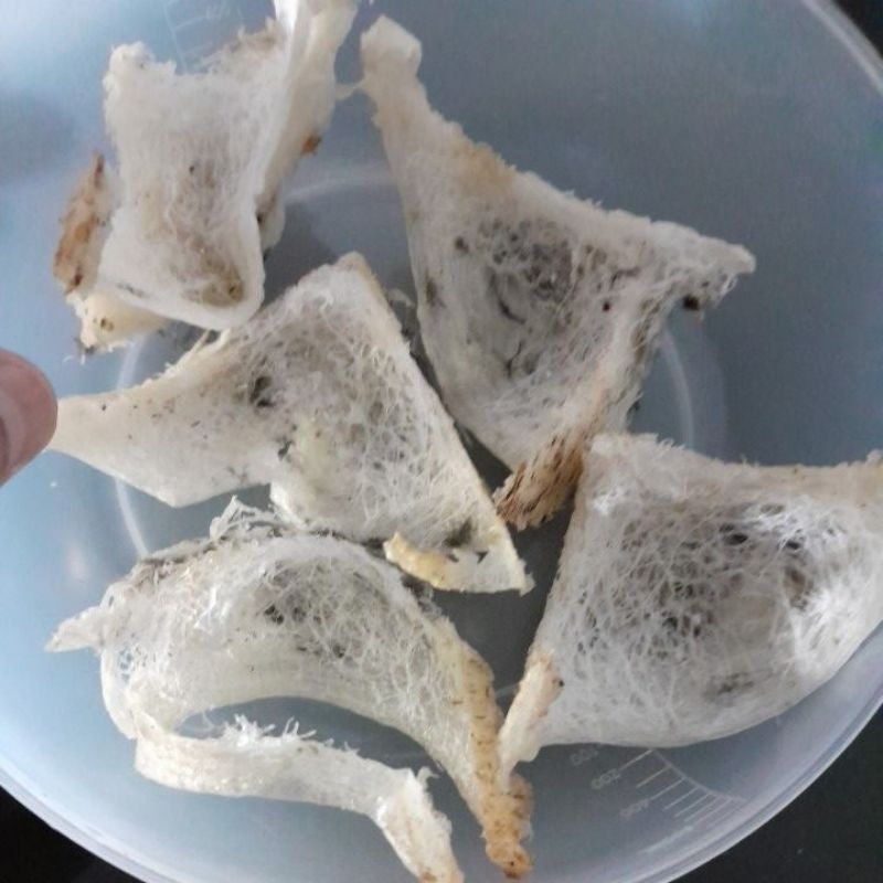 

sarang burung walet 100% original dari sumatera.premium pojok.putih