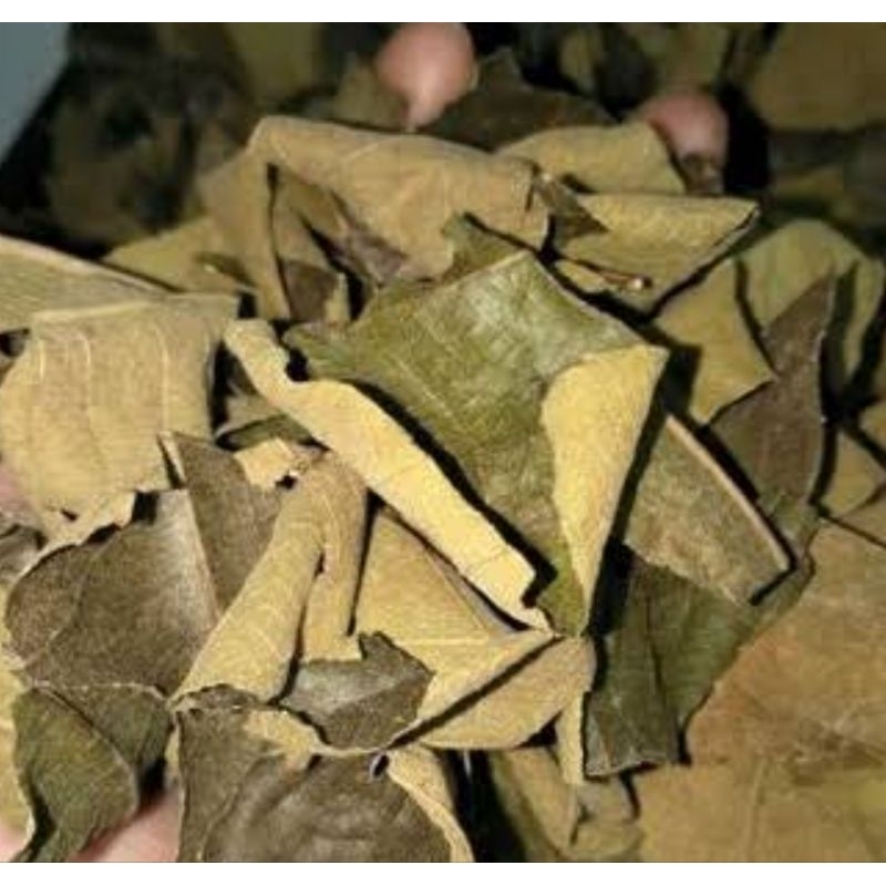 

Teh daun jati Jawa kering cacah per bungkus