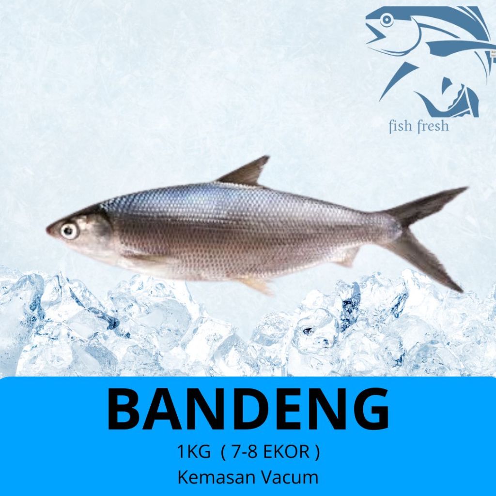 

IKAN BANDENG BEKU KUALITAS SEGAR 1KG