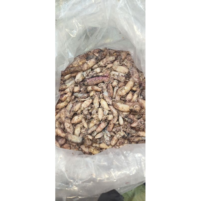 

Sotong asin 100gram/ cumi asin 100gram