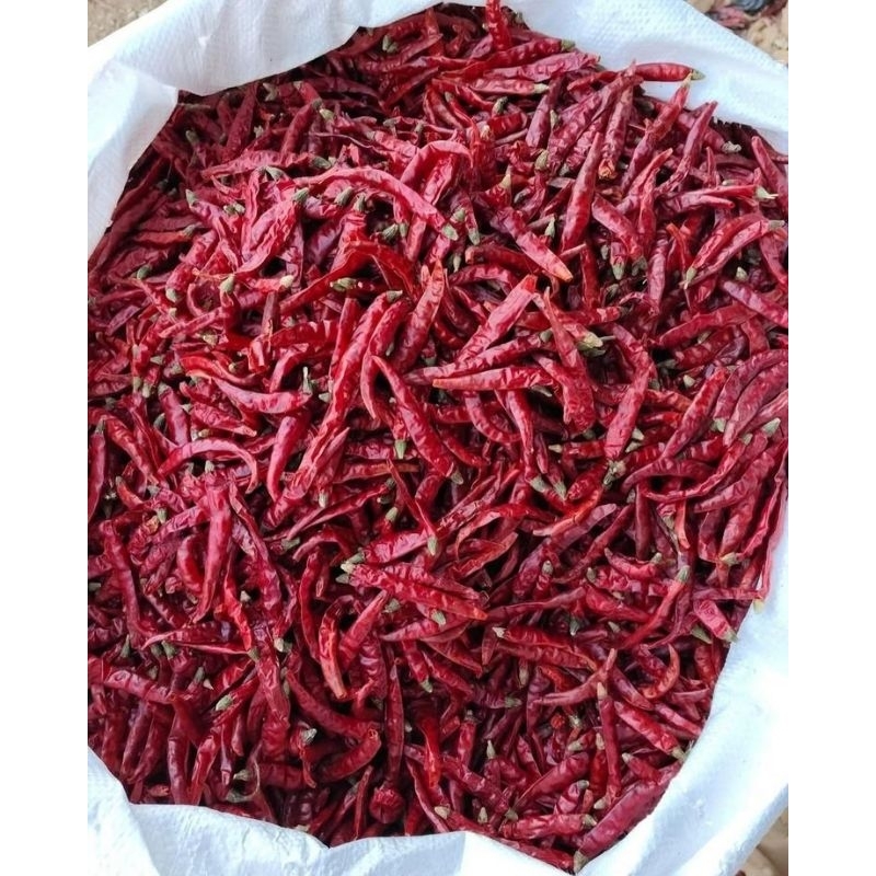 

CABE MERAH KERING 250gram TANPA TANGKAI