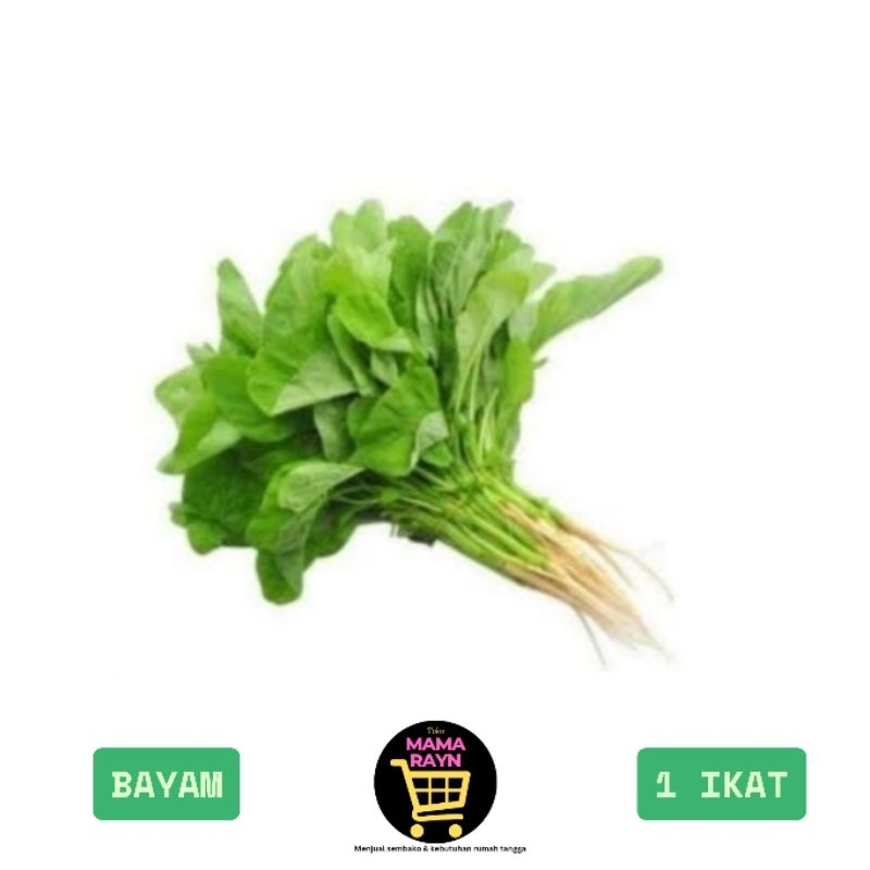 

sayur bayam hijau / bayem segar / sayur murah / 1 ikat