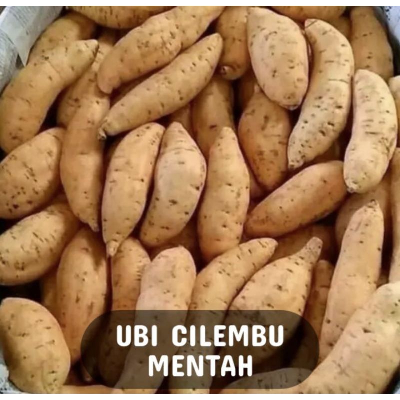 

ubi cilembu mentah bersih & fresh