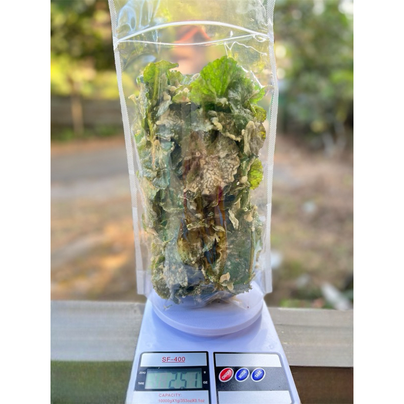 

Aneka Keripik Pegagan