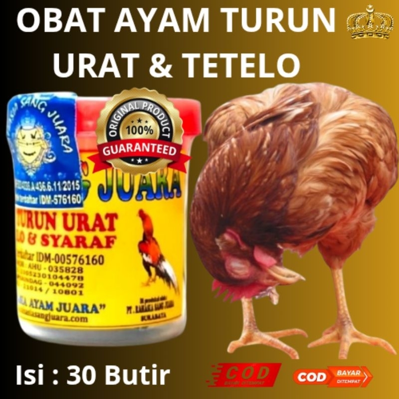 OBAT AYAM TURUN URAT LUMPUH & TETELO