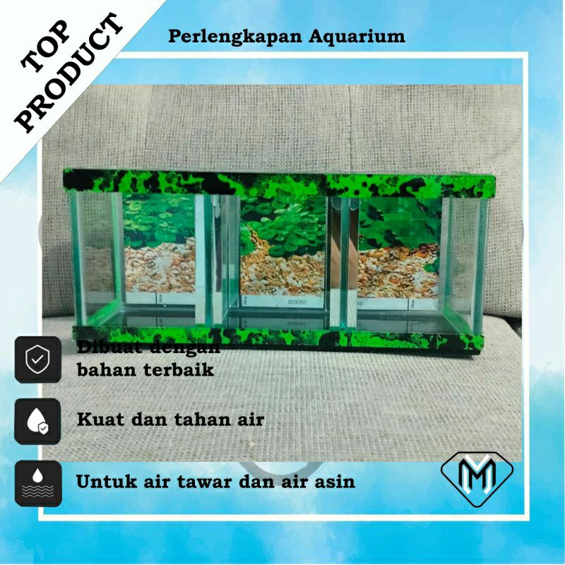 AQUARIUM KOTAK MINIMALIS / AQUARIUM KACA 3 RUANG / AKUARIUM MOTIF MURAH 30x10x12