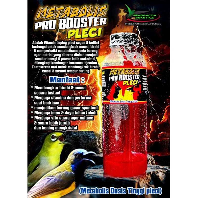 PRO BOOSTER PLECI JUARA Metabolis Dosis Tinggi pleci