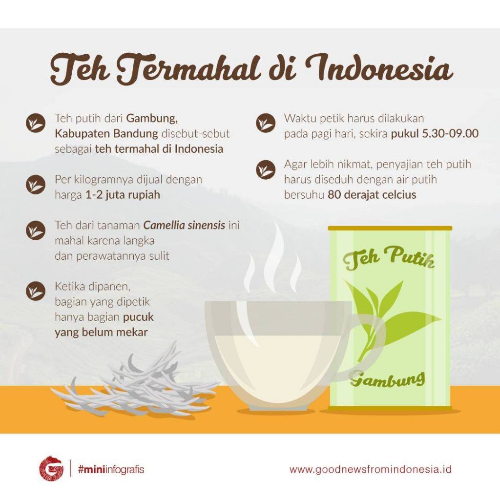 

teh penurun berat badan alami Teh putih - teh diet - teh pelangsing asli ciwidey (GRADE AA+)