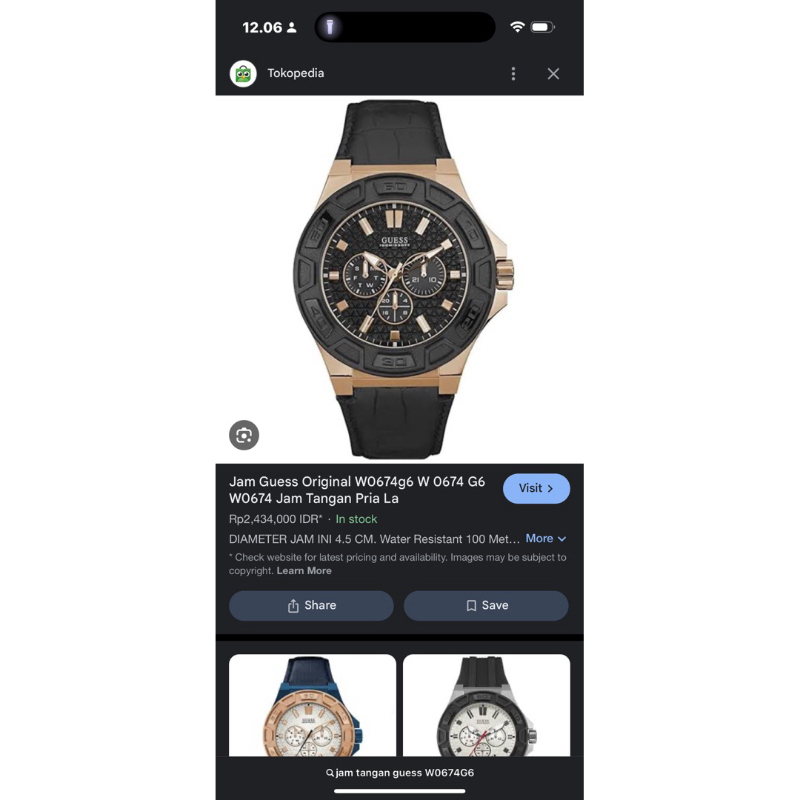 Jam Tangan Pria Guess Steel WP674G6