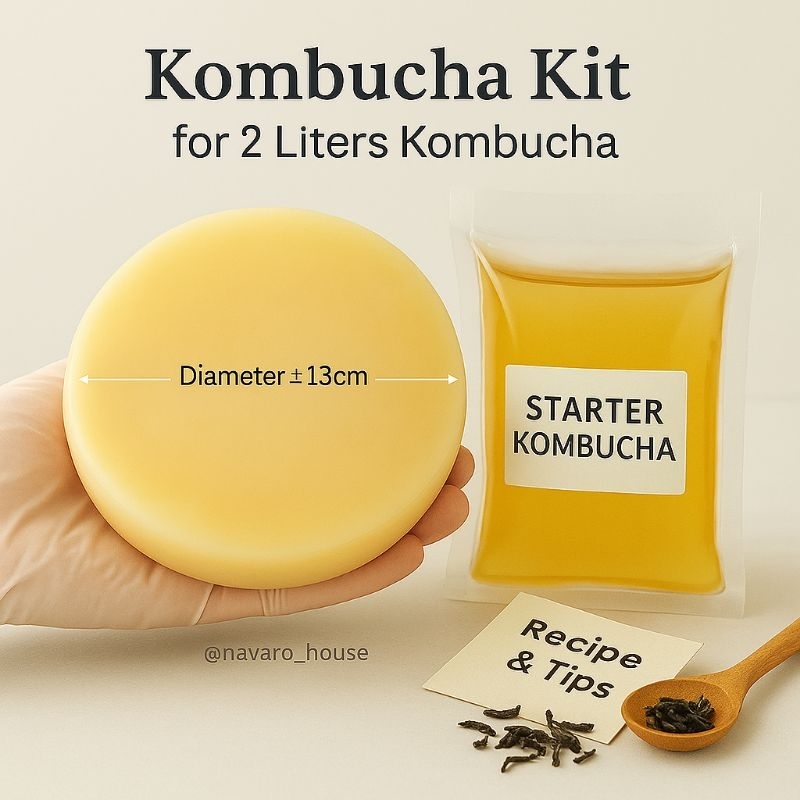 

Scoby JUMBO starter Kombucha Premium Organik Organic Bibit Jamur Dipo
