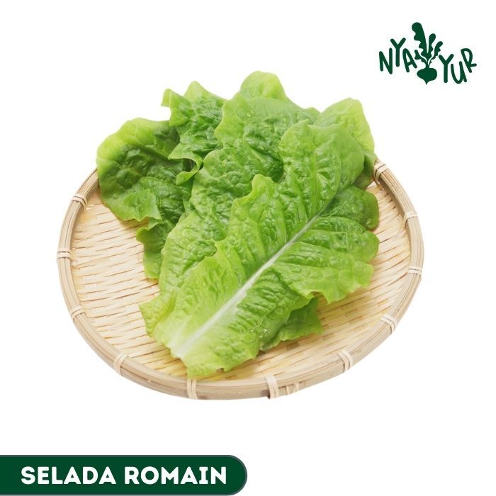 

INSTAN - Selada romain Segar per pack