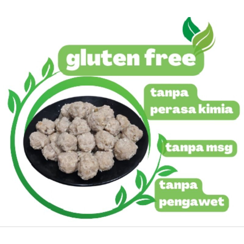 

Bakso sehat non MSG (small)