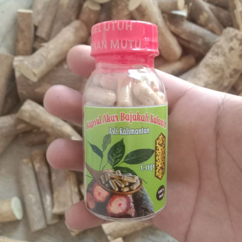 

serbuk akar bajakah kalawit asli kalimantan